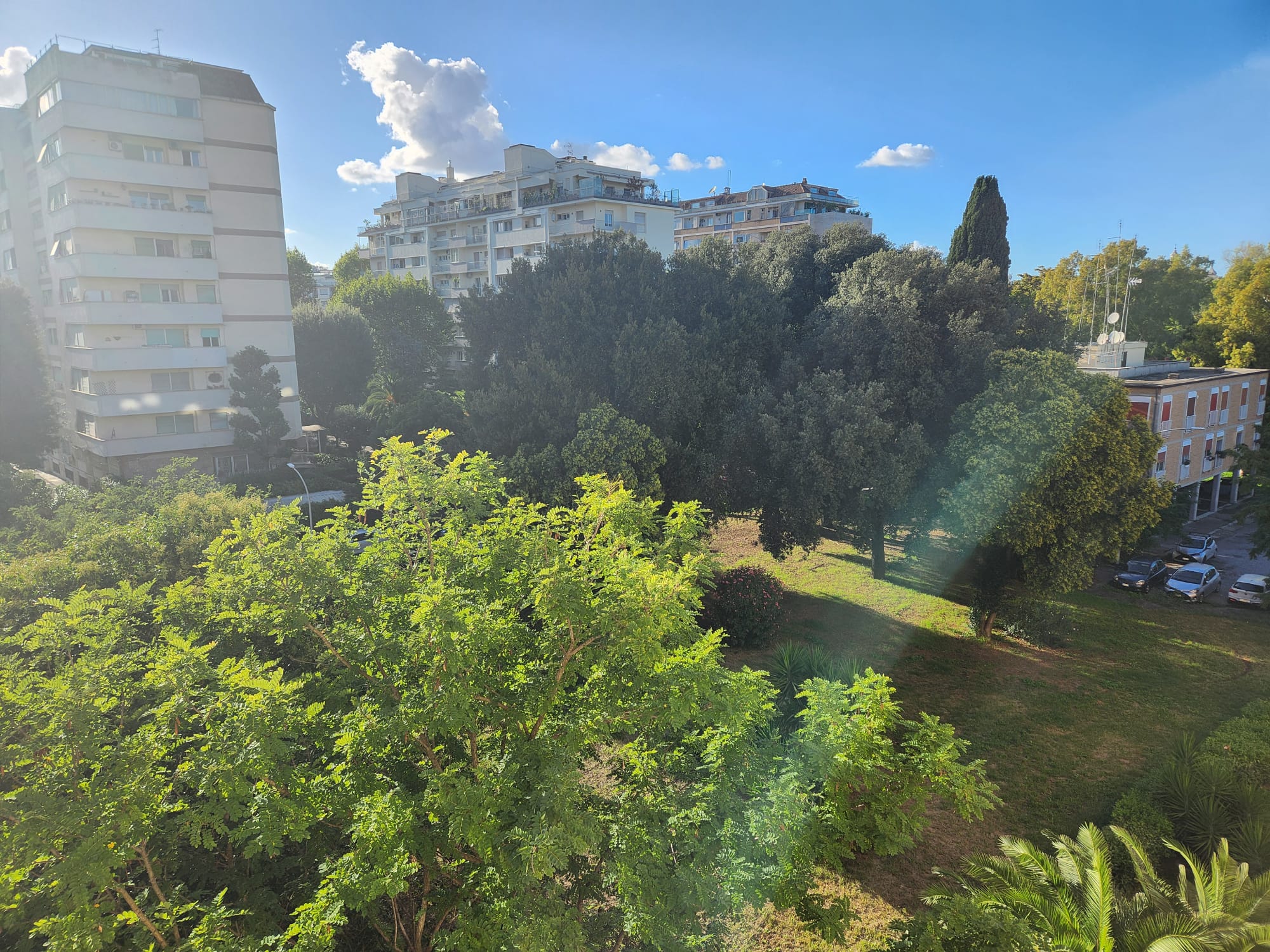 appartamento in affitto a  zona parioli