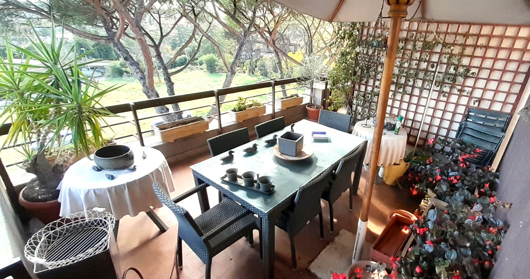 appartamento in vendita a  zona cassia - san godenzo